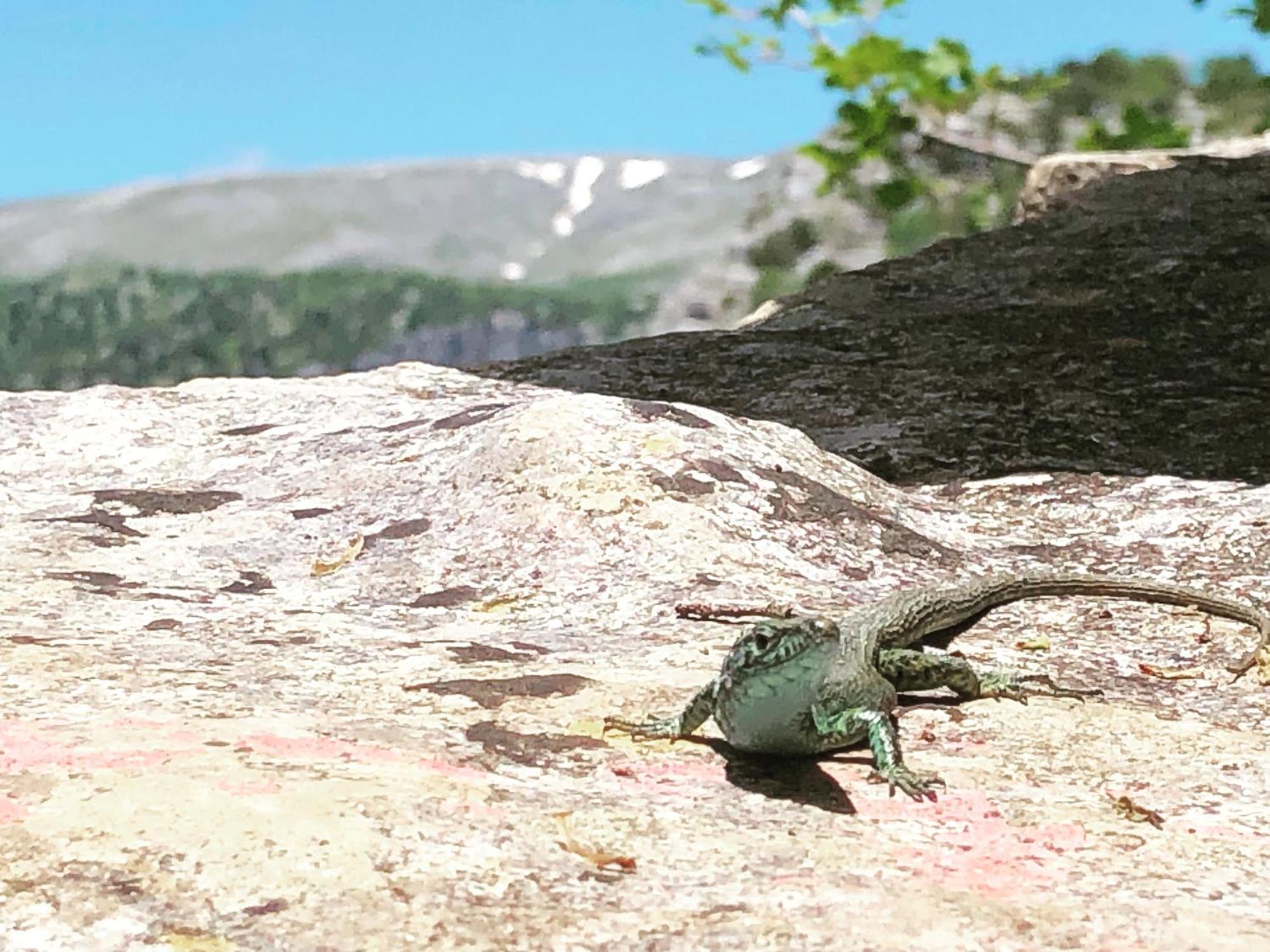Hotel Katikia Zagori Vitsa Zewnętrze zdjęcie